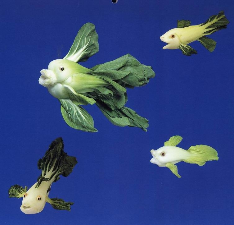 [Peixes.JPG]