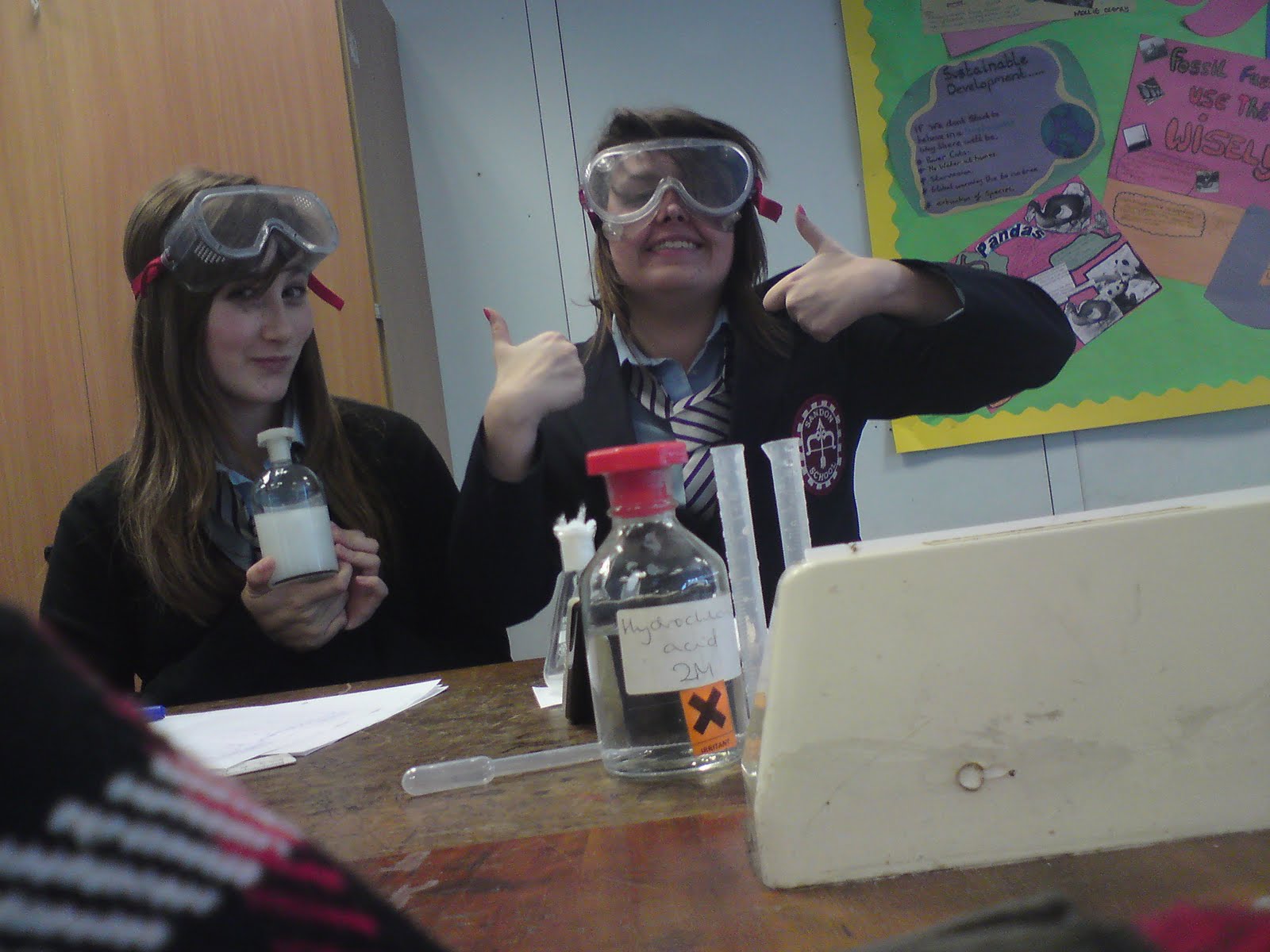 EmmaBee;: The Sandon School