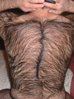 http://3.bp.blogspot.com/_D74JB7UIjiA/TKZENZOyhQI/AAAAAAAAABo/wbKYnxTPGdI/s1600/happytrail2.jpg