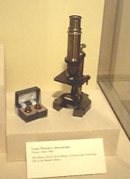 Pasteur Microscope