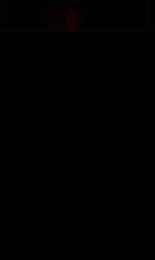 [z+negro+simpl.jpg]