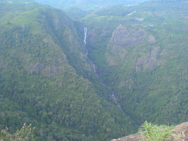 [DSC03004.JPG]