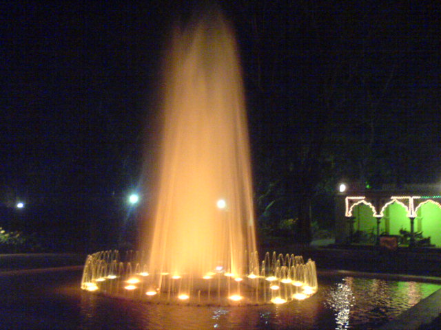 [DSC01419.JPG]
