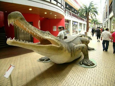 魔鬼巨鱷 恐龍 - 魔鬼巨鱷 捕食各種類型的恐龍
