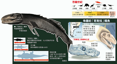 哥斯拉鱷魚 - 海怪 哥斯拉鱷魚