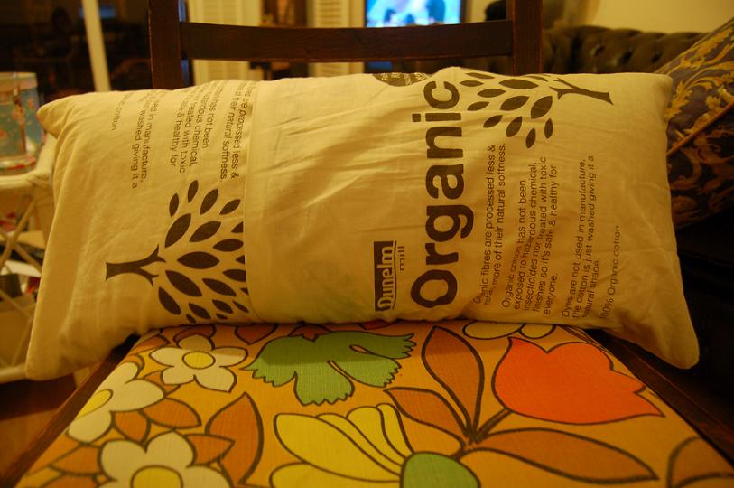 [cushion+covers.JPG]