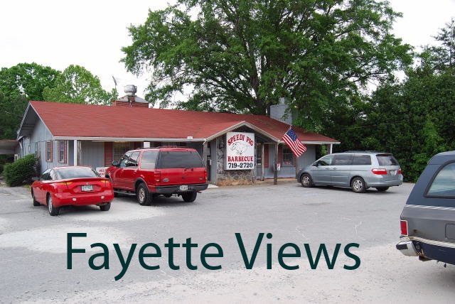 Fayette Views