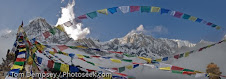 buddhist flag in the mountain