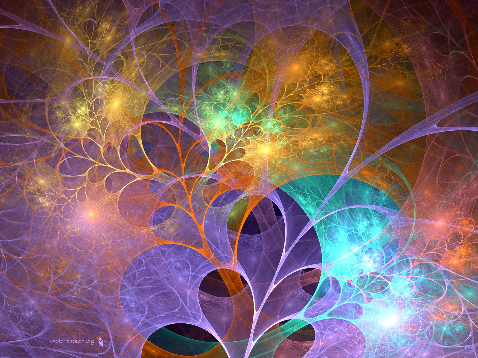 http://3.bp.blogspot.com/_D8VwTKAphks/S_HFdY5WcLI/AAAAAAAAM6o/8mHdDBrCilI/s1600/Fractal+Wallpapers+3+(14).jpg