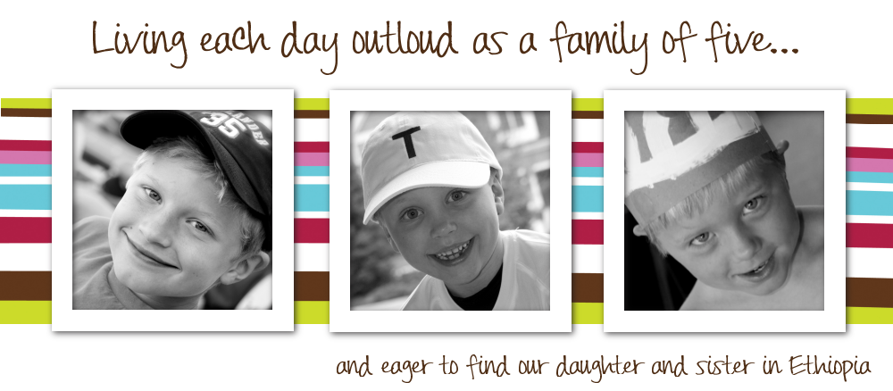 Our Adoption Journal