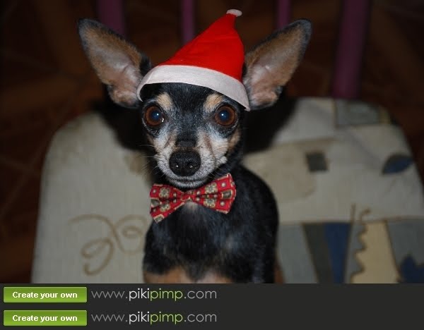 [papai_noel-compiled-compiled.JPG]