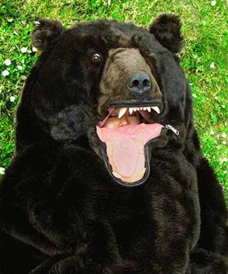 [sleepingbear04.jpg]