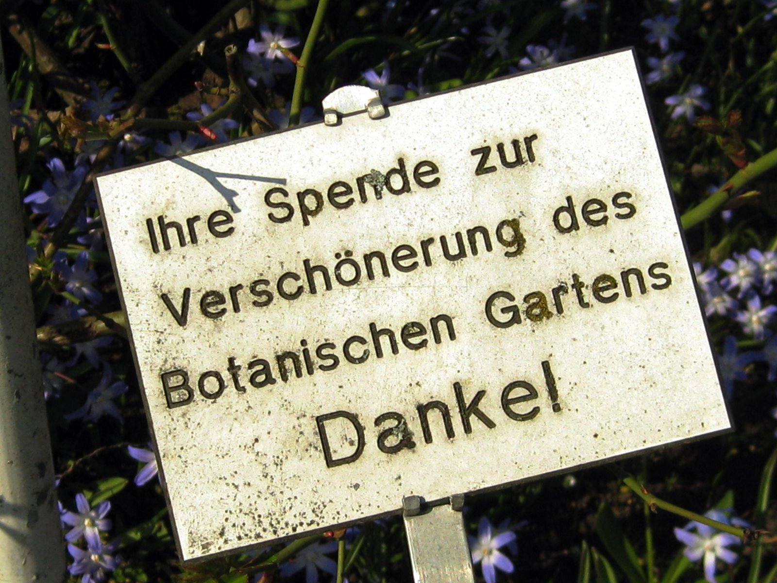 [IMG_0259.JPG]