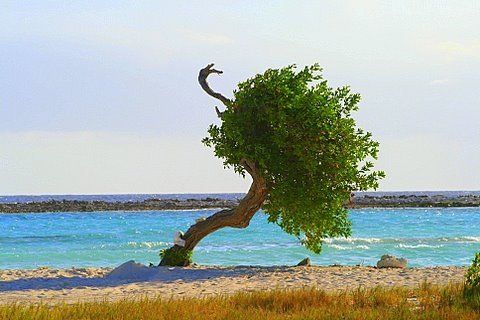 SusieQTpies Cafe: Sand Gone Giveaway for Beach goers