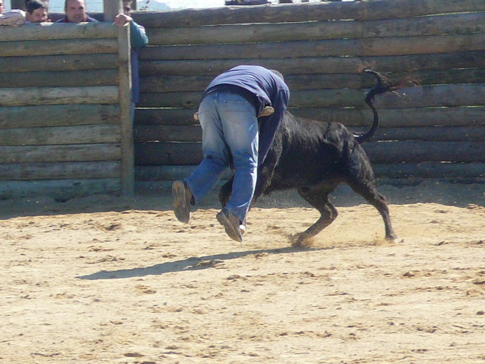 [P1020085.JPG]