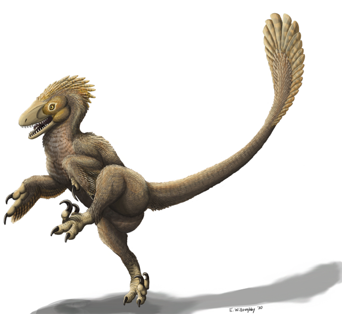 Deinonychus Um Dinossauro Realista Em 6 Poses Diferentes