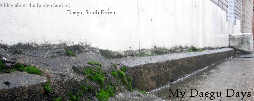 My Daegu Days