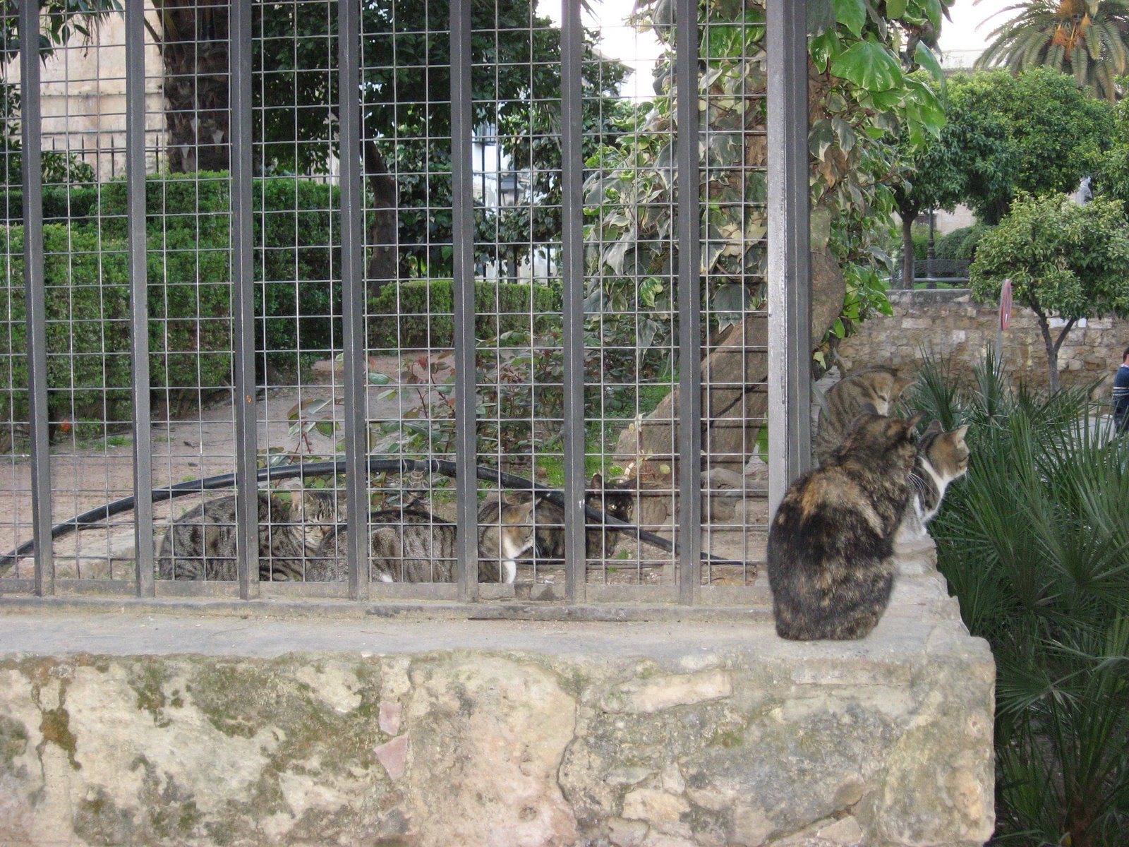 [IMG_0863.JPG]