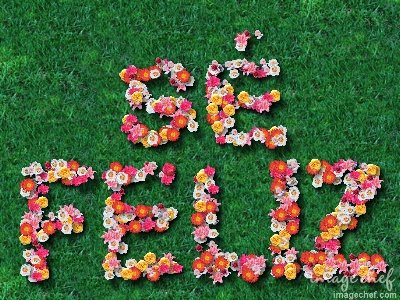 Resultado de imagen para se feliz