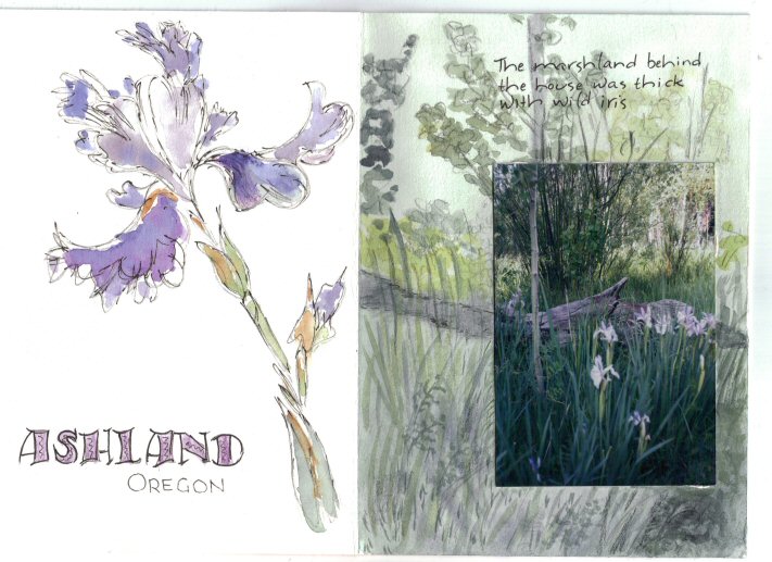 [ashland+irises.jpg]