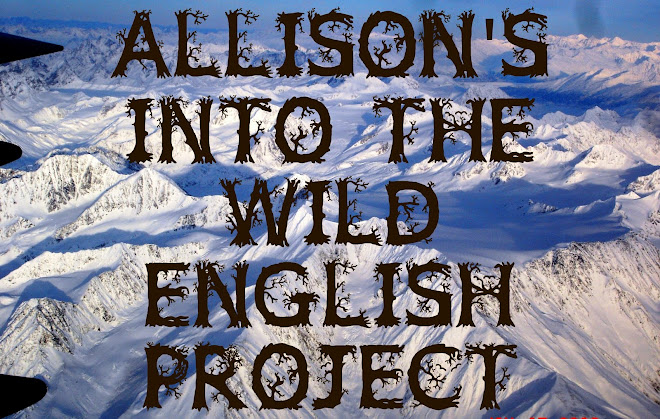 Allison's Into the Wild English Project