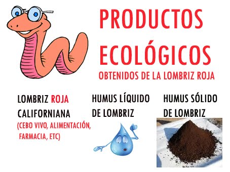 Hay cuanto una inoculación para el gatito de las lombrices
