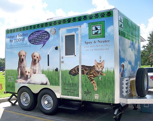 pet city 518