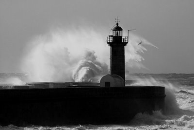 [IMG_8925_-_Copy.JPG]