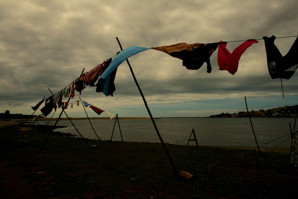 [IMG_3651.JPG]