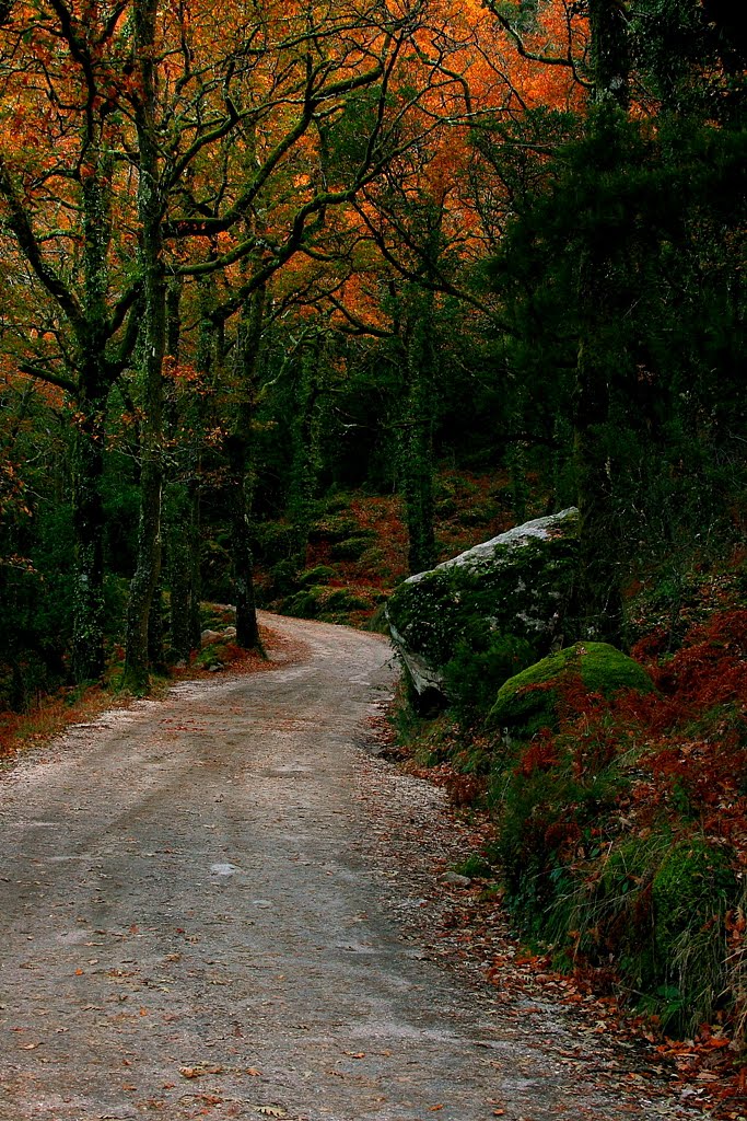 [IMG_2795+-+Copy.JPG]