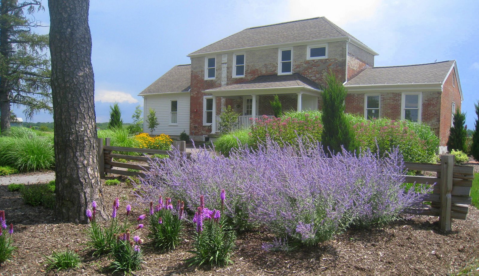 The Buckland House