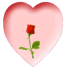 [ROSE.GIF]