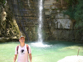 Adam in front David's waterfall
