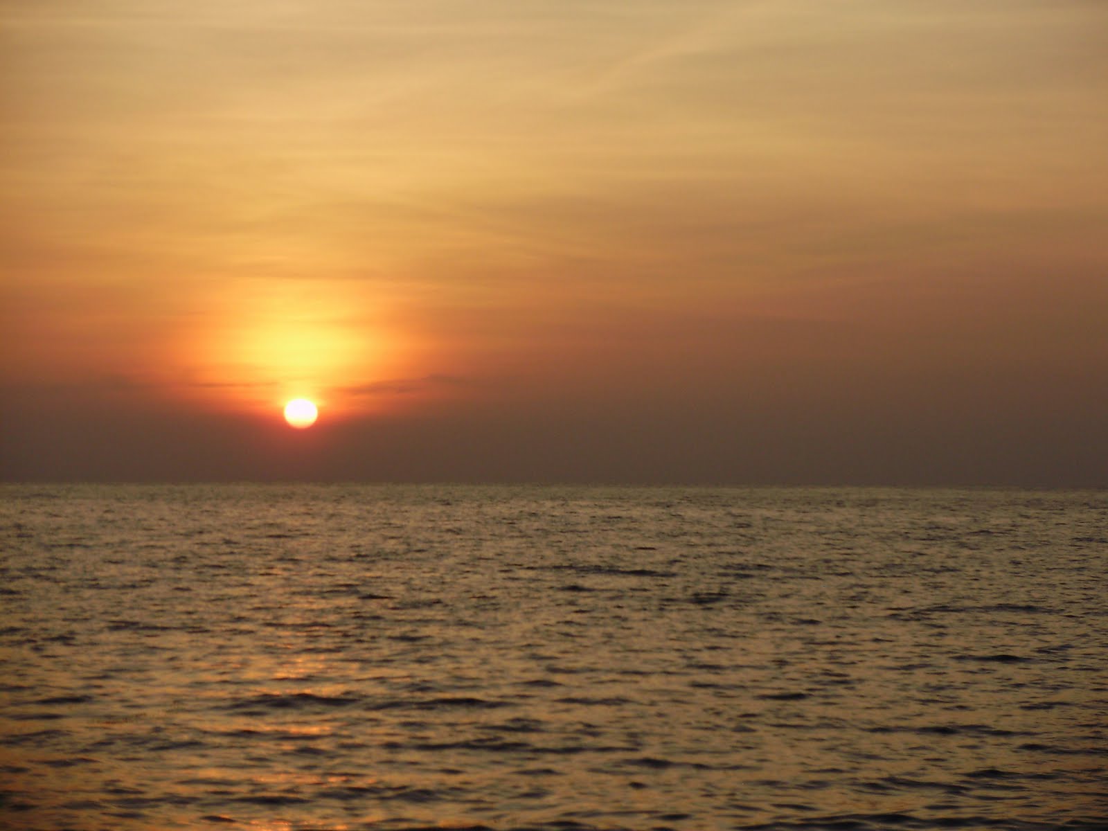 [PC250235.jpg]