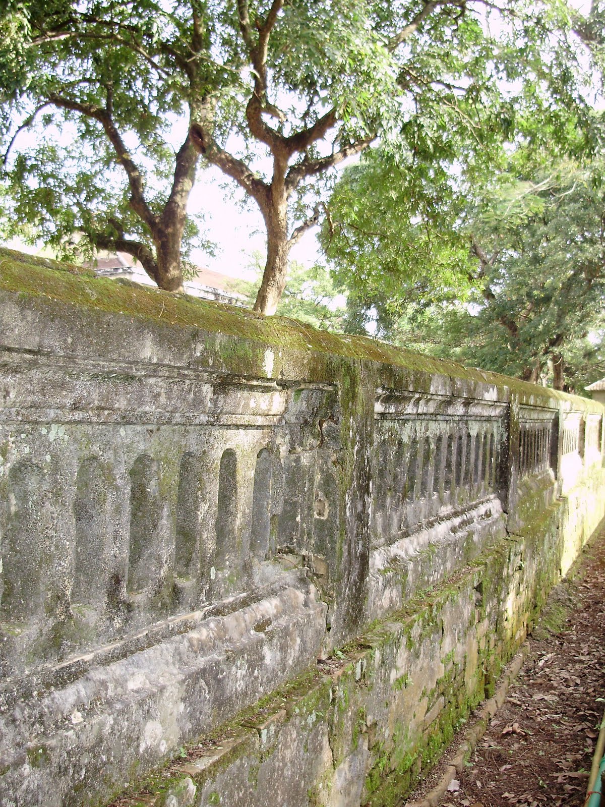 [PC100764.jpg]