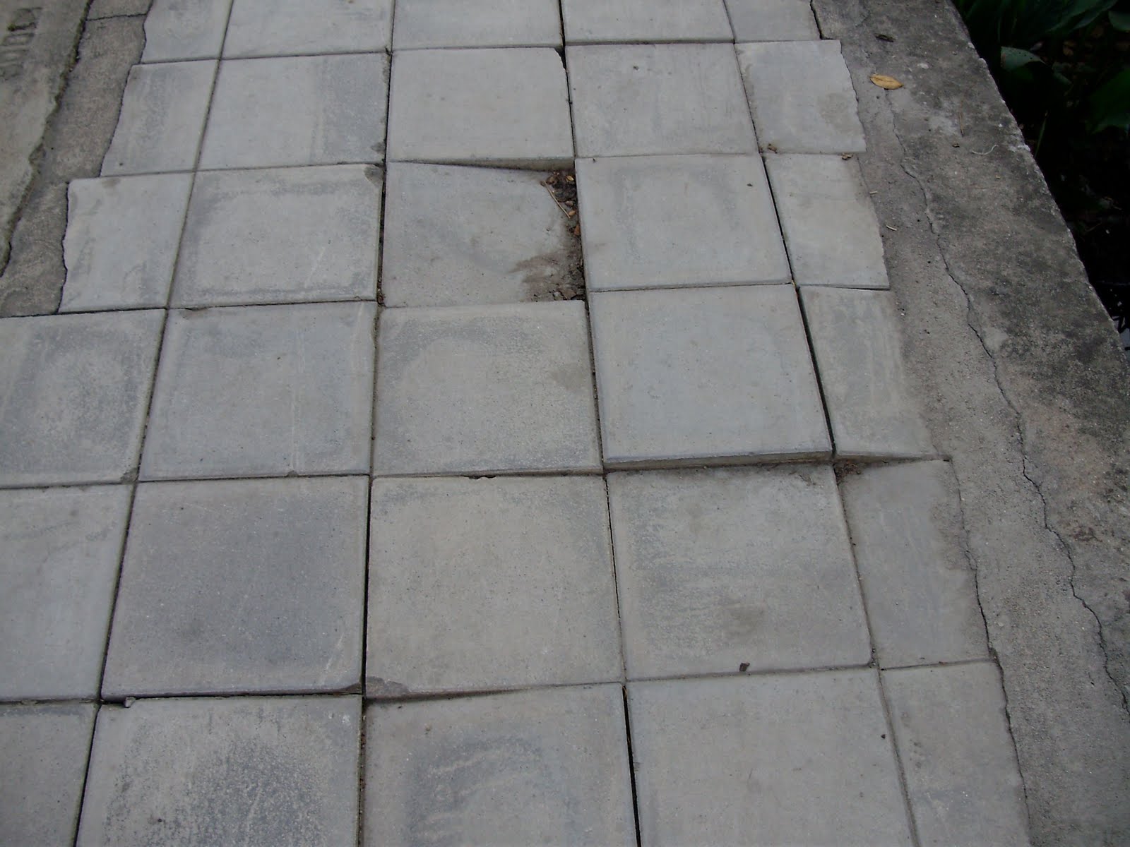 [PC200013.jpg]