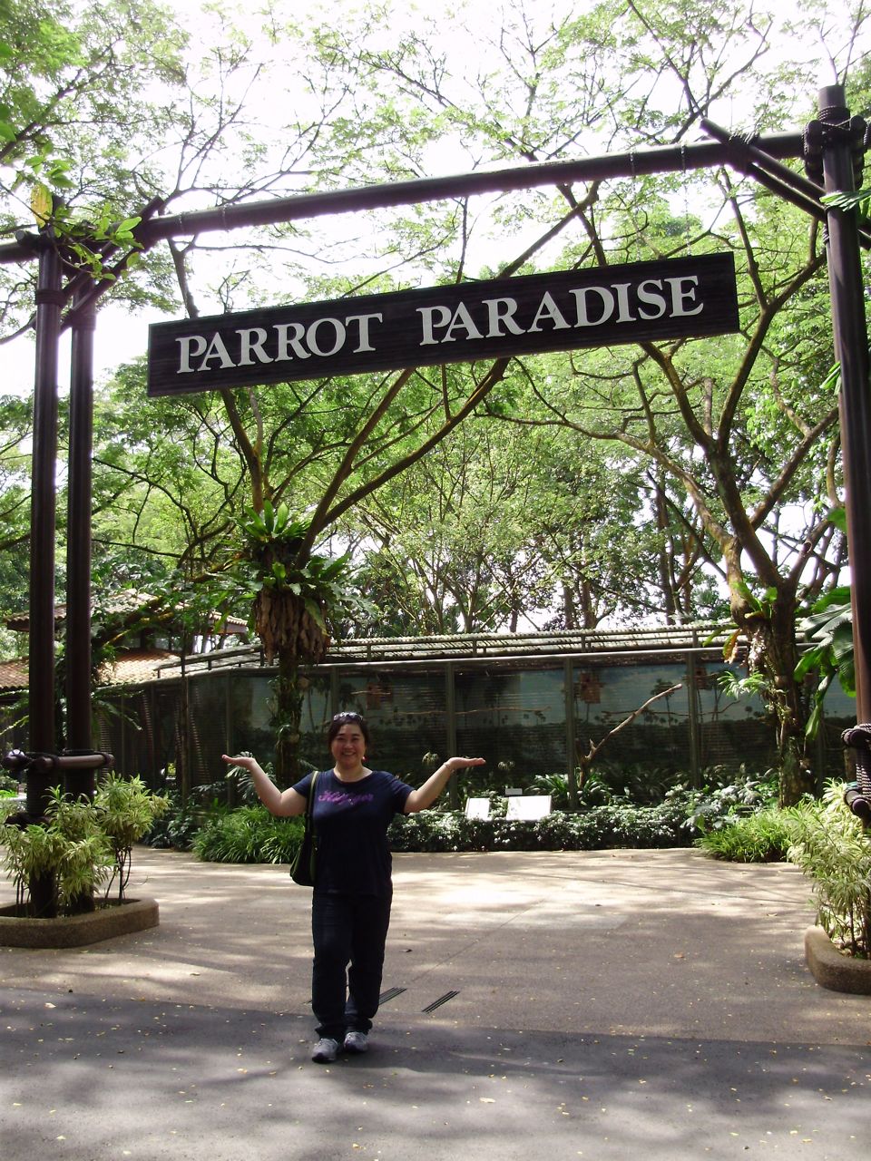 [PC120106.jpg]