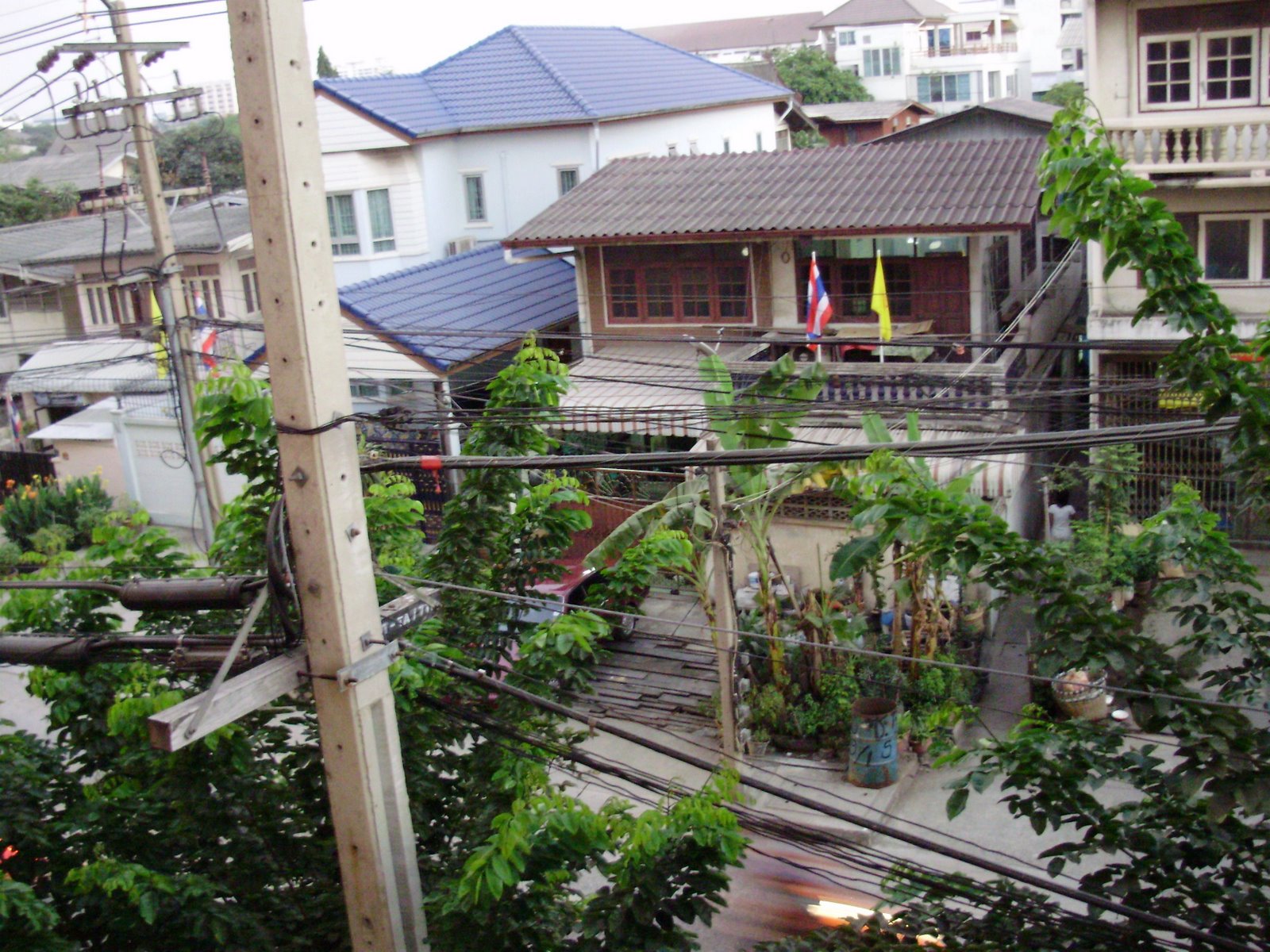 [P2080026.jpg]