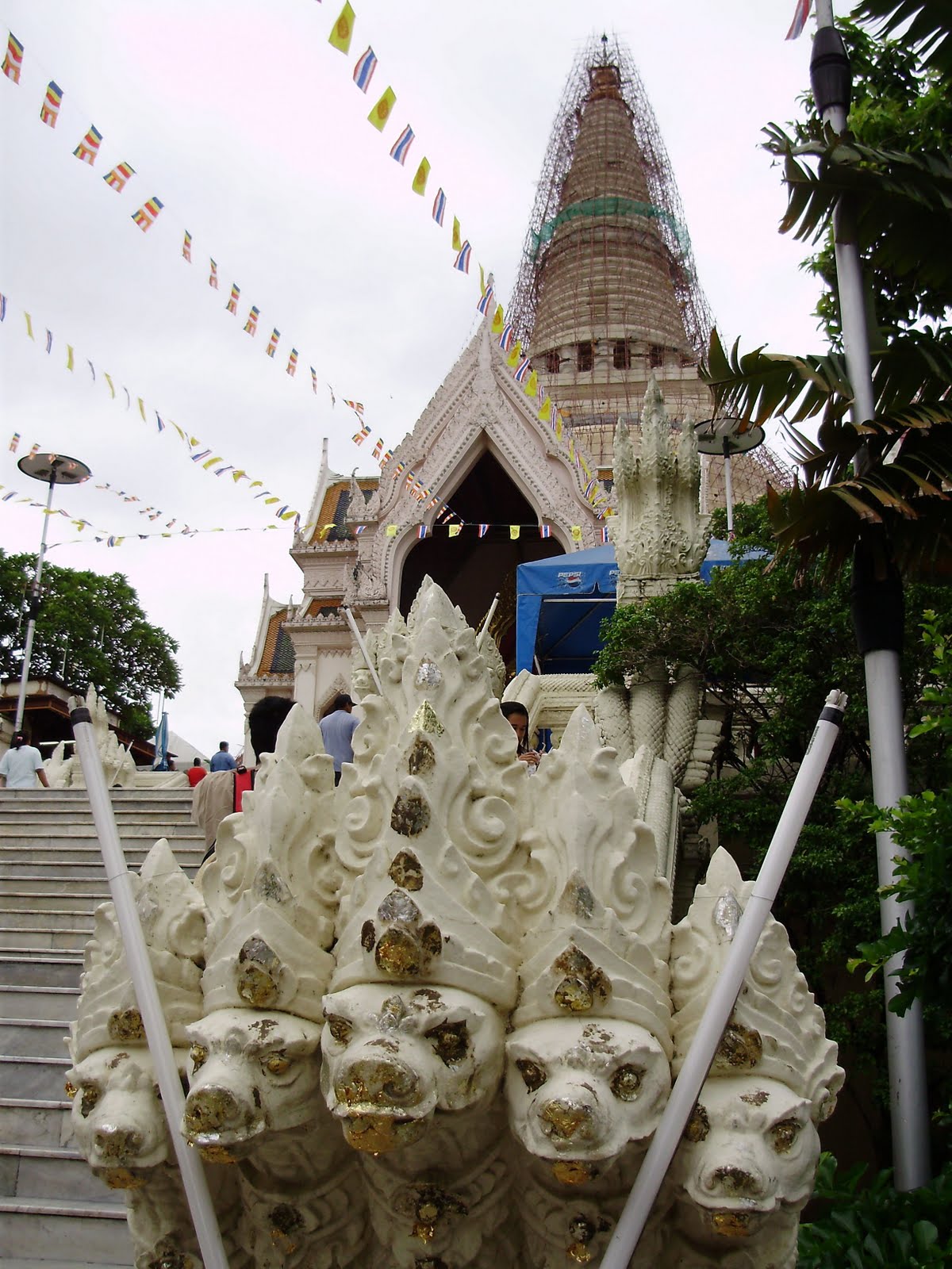 [P7040030.jpg]