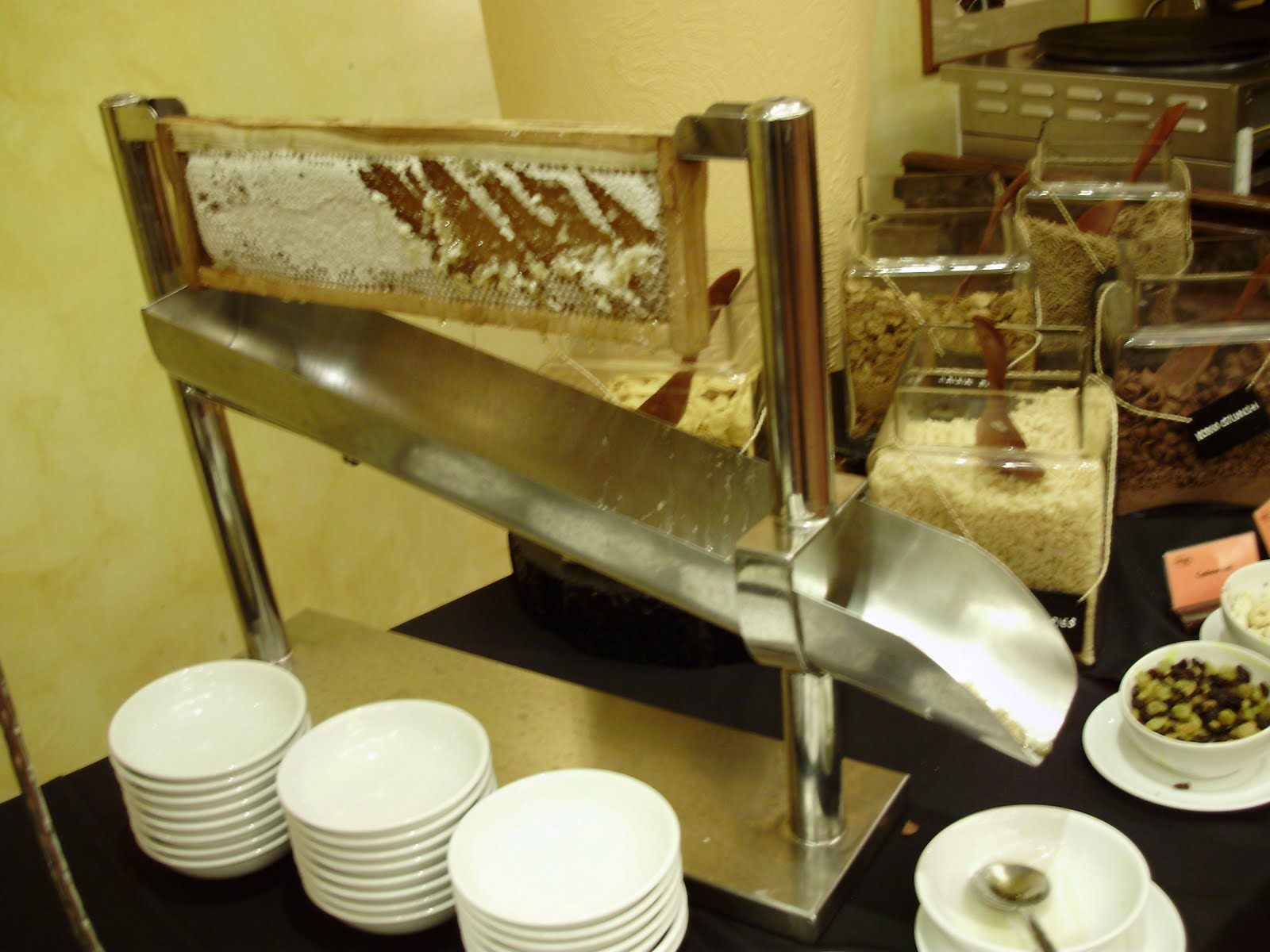 [PA220096.jpg]