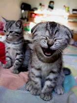 smile cat