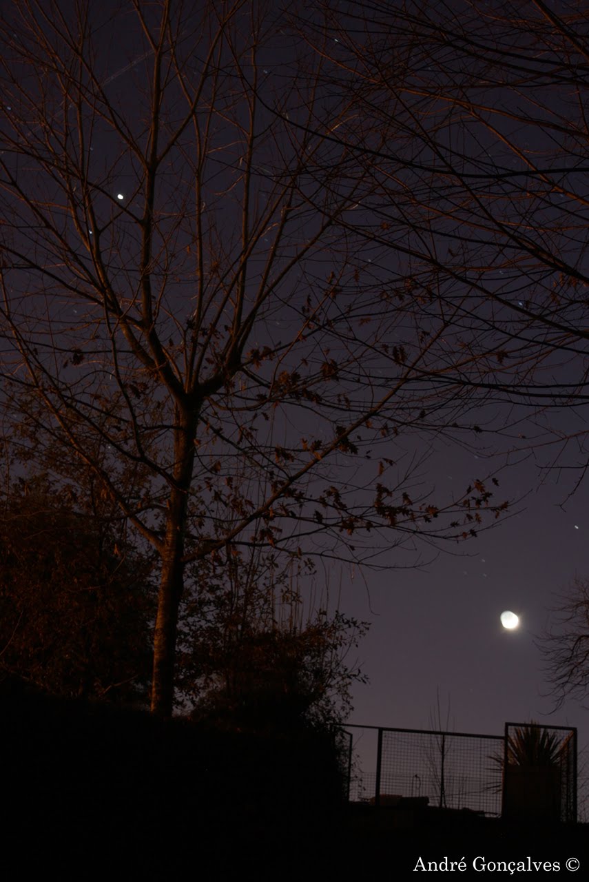 [Moon&Trees.jpg]