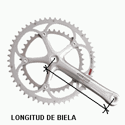 [campagnolo_crank1b.gif]