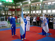 YO Y MI BANDERA