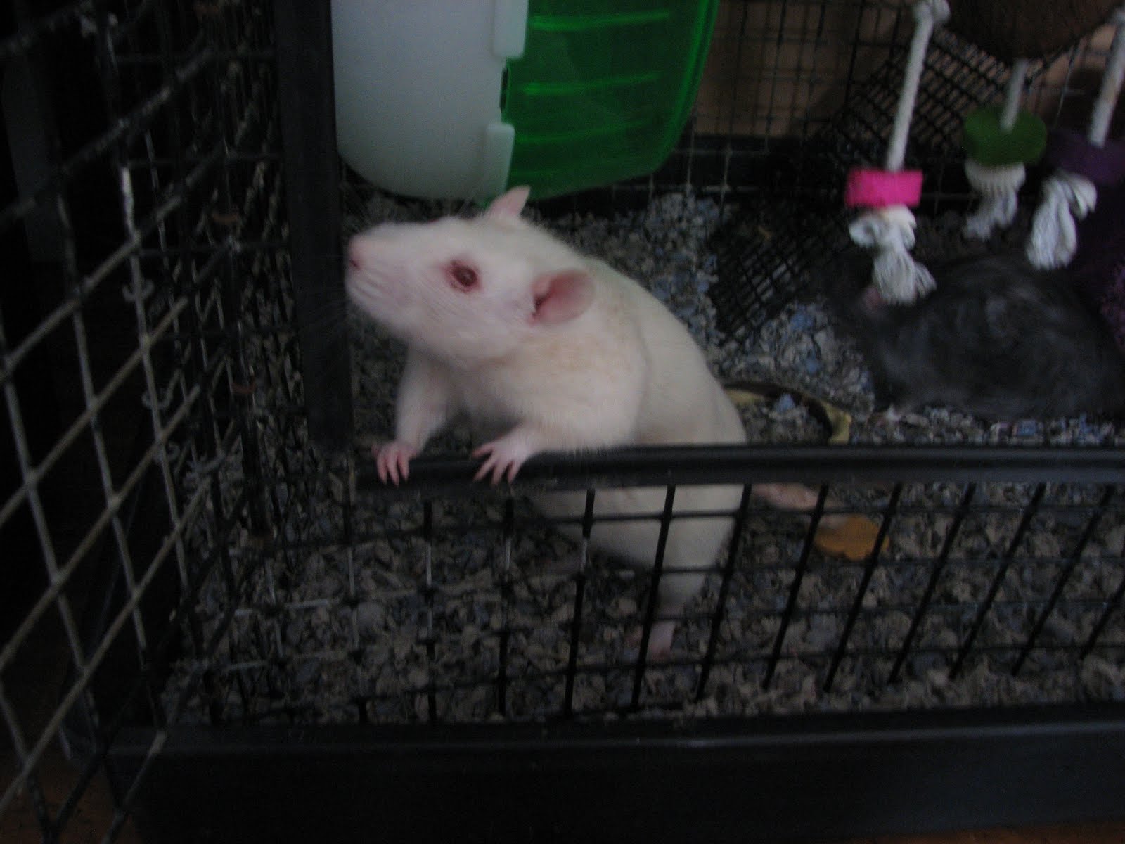 [IMG_0005.JPG]