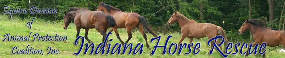 Indiana Horse Rescue