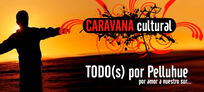 Todo(S) por Pelluhue