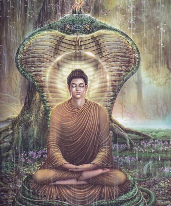 The Life of the Buddha
