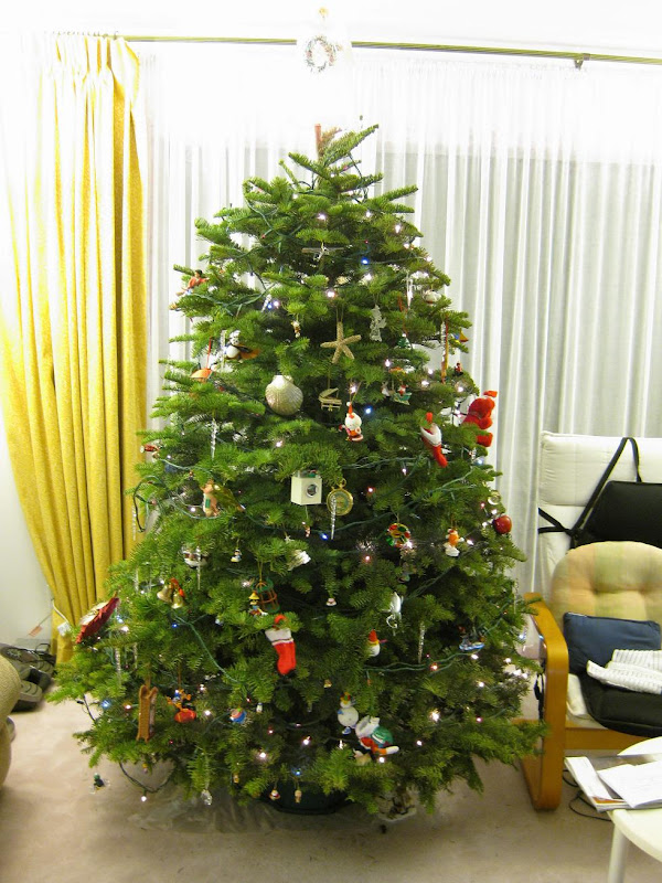 christmas 2009 tree & ornaments