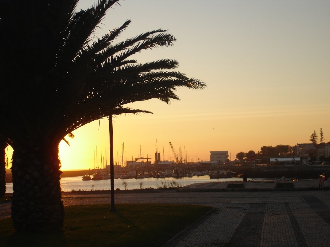 [DSC01697.JPG]
